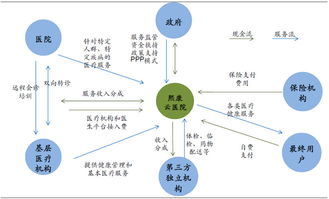 東軟集團 以軟件系統集成為基石，醫療信息化引領未來增長